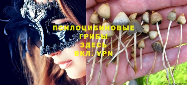гашик Аркадак