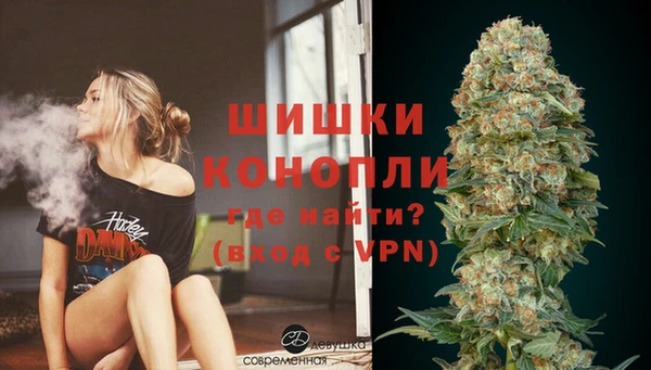 гашик Аркадак